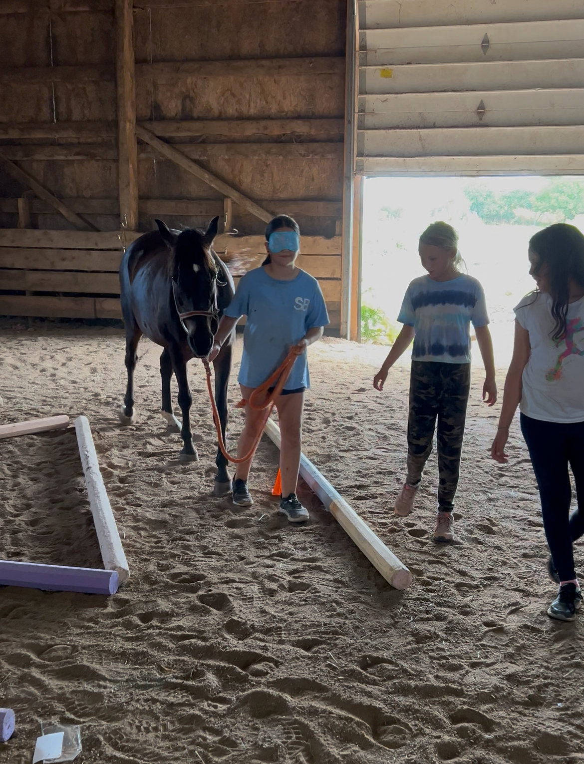 A blindfolded trust exercise leading a horse through a course